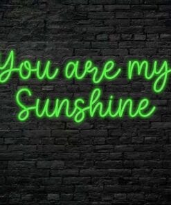 Alternative view of You  are my sunshine Neon Sign