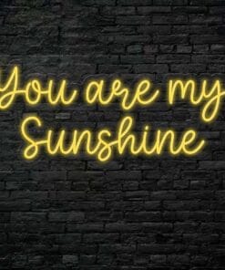 You  are my sunshine Neon Sign
