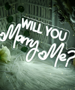 Will You Marry Me Neon Sign